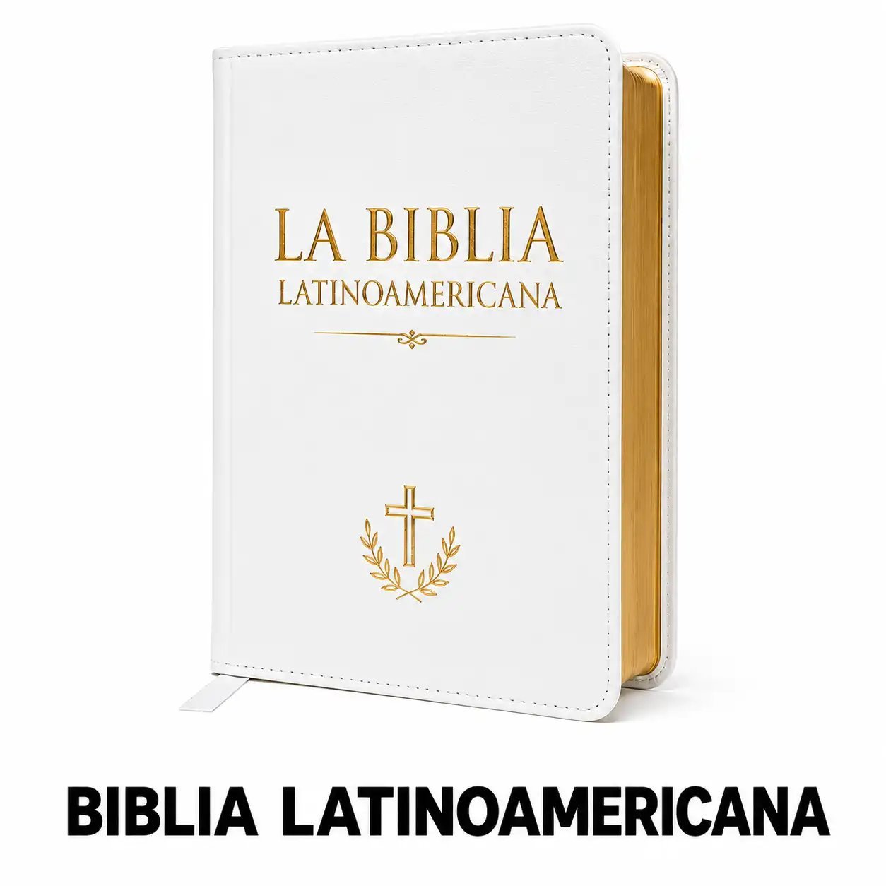 1000026437.webp