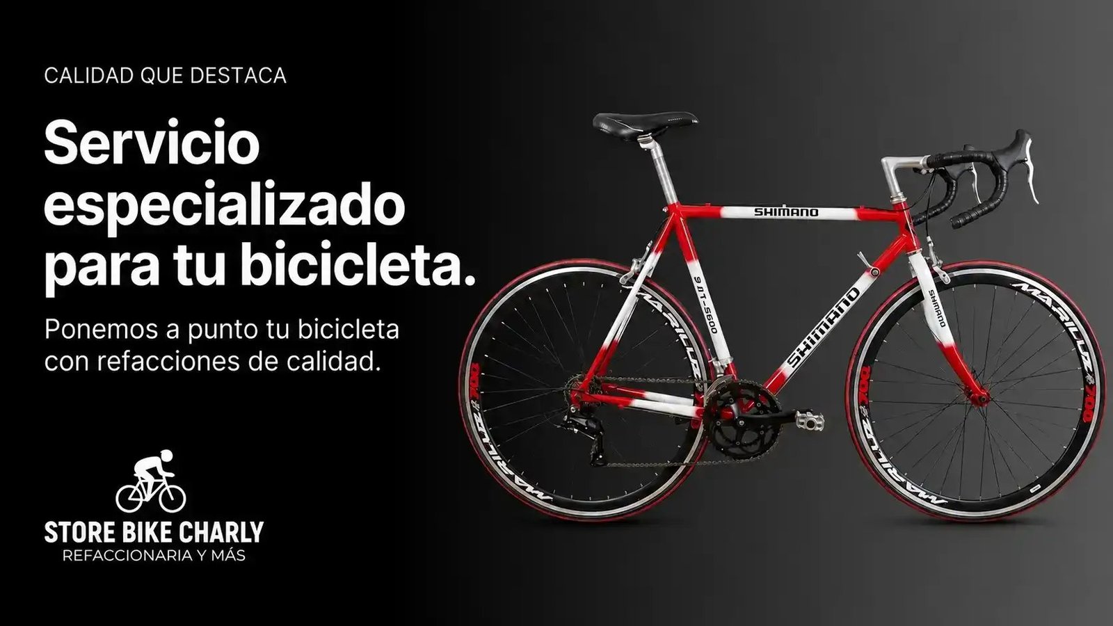 Store Bike Charly 1000026948.webp