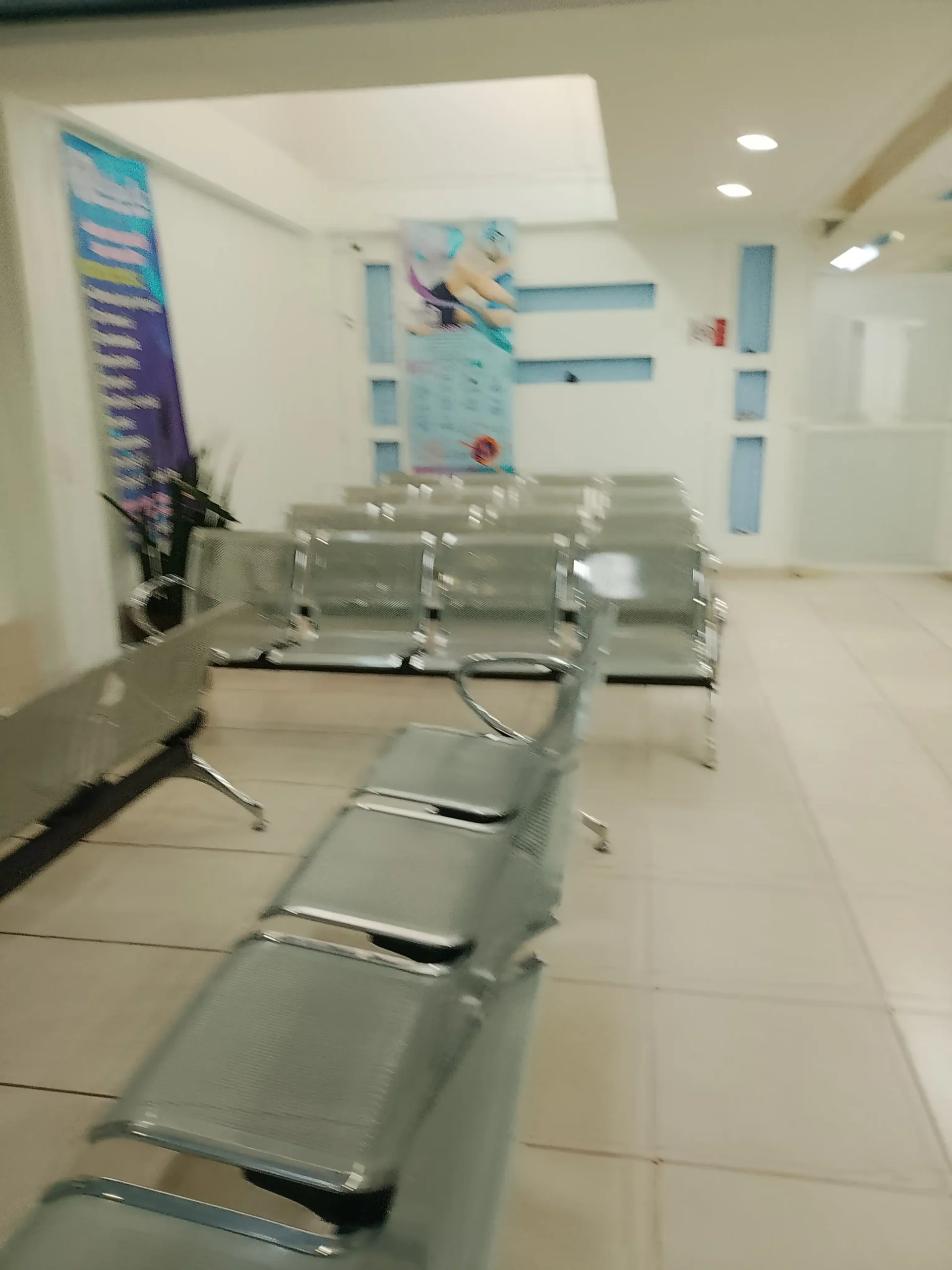 Galería 2