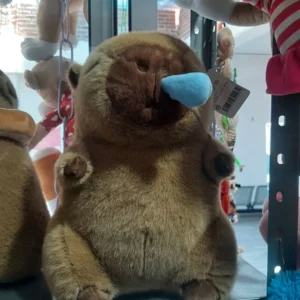 capibara