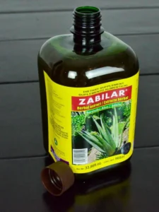Bebida de Sábila