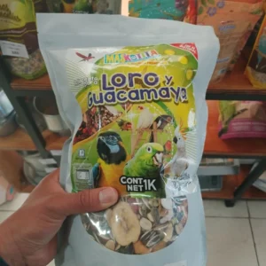 Producto 4