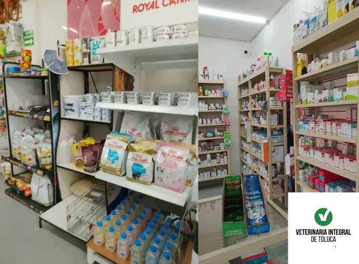 diseño sin título (15)