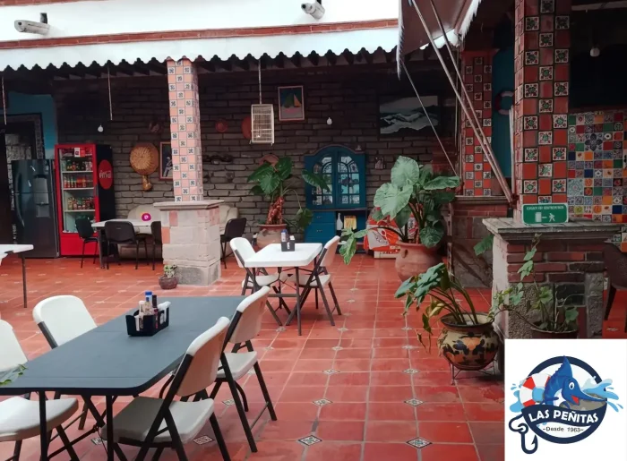 diseño sin título (33)