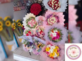 diseño sin título (9)